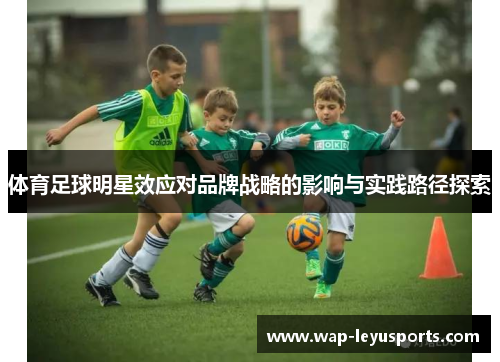 体育足球明星效应对品牌战略的影响与实践路径探索