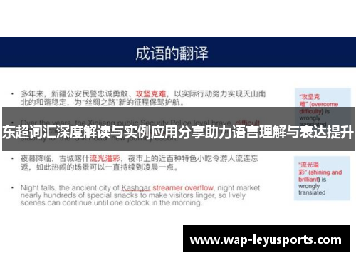 东超词汇深度解读与实例应用分享助力语言理解与表达提升