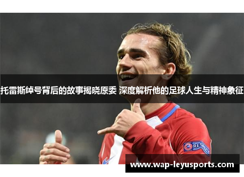 托雷斯绰号背后的故事揭晓原委 深度解析他的足球人生与精神象征